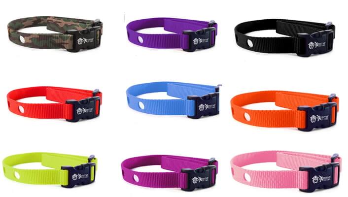 Nylon Pet Collar Development