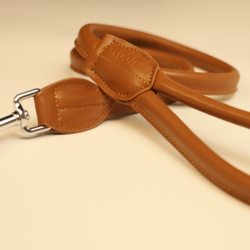 Rolled soft leather dog lead