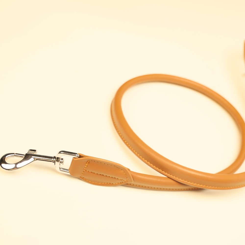 Rolled soft leather dog lead