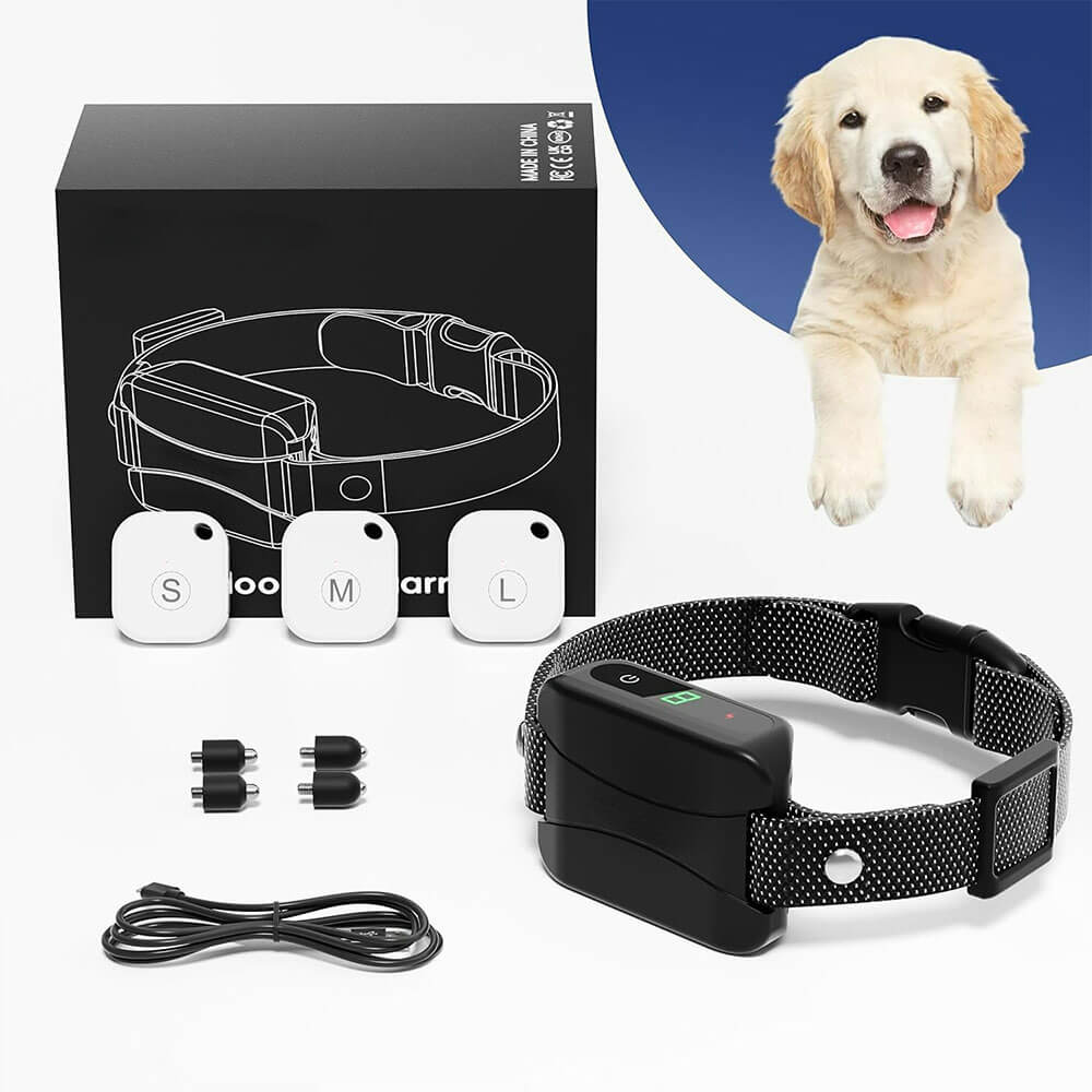 Indoor Wireless Dog Trianing system