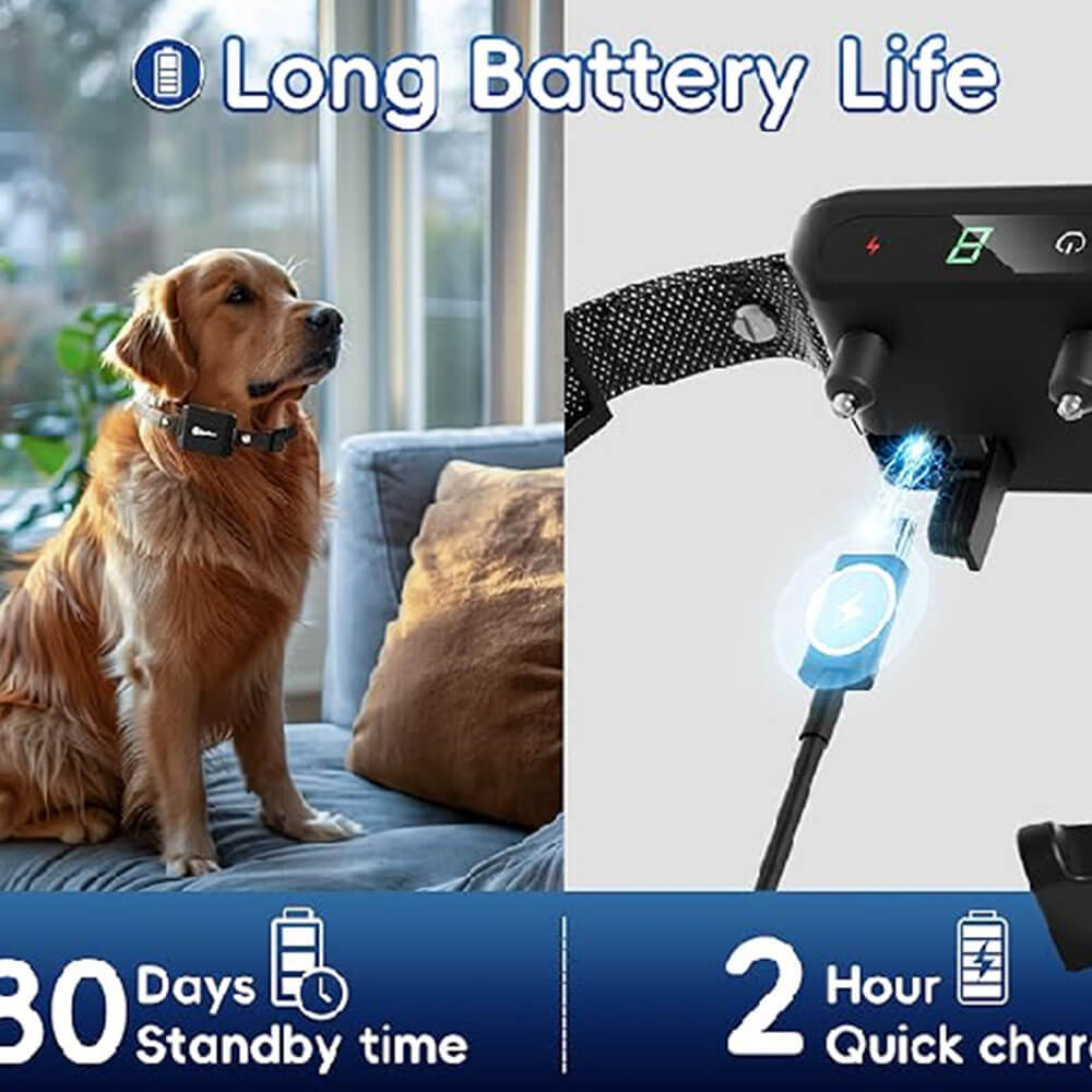 Indoor Wireless Dog Trianing system