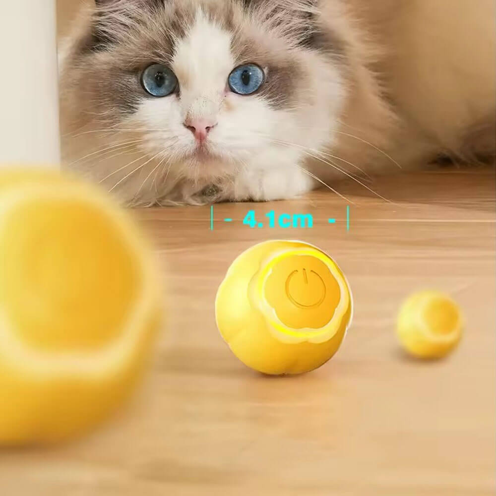 Automatic pet toy ball