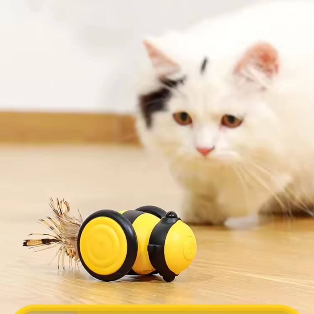 Automatic pet toy ball