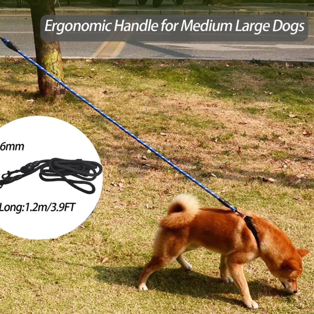 Electronic Dog Training Leash