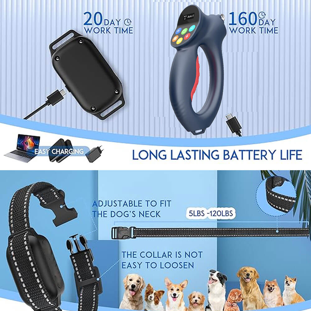 Electronic Dog Training Leash