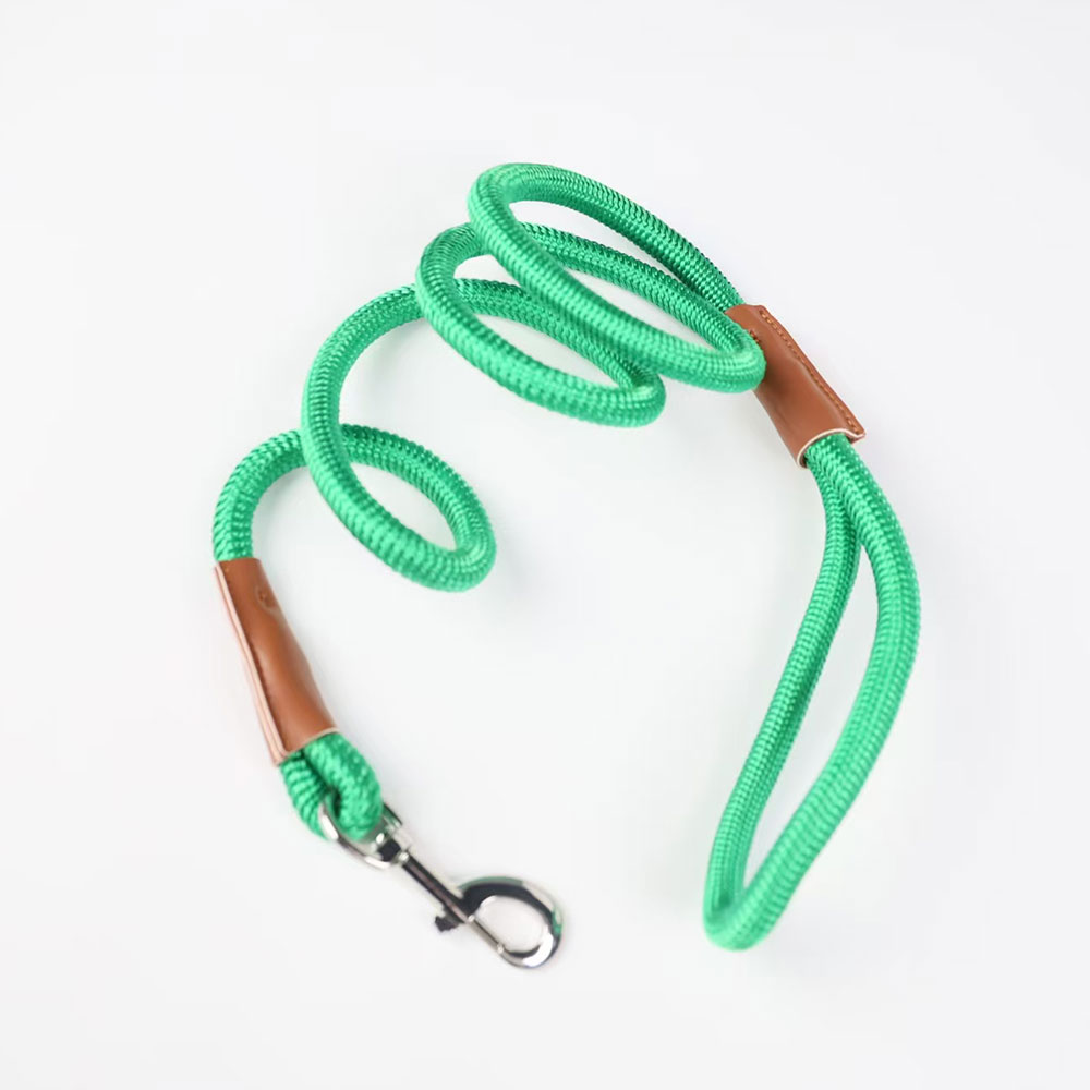 Rolled Nylon dog lead