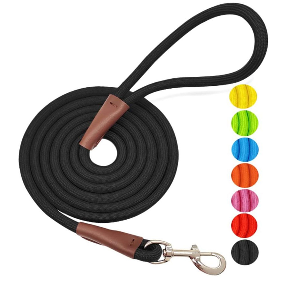 Rolled Nylon dog lead