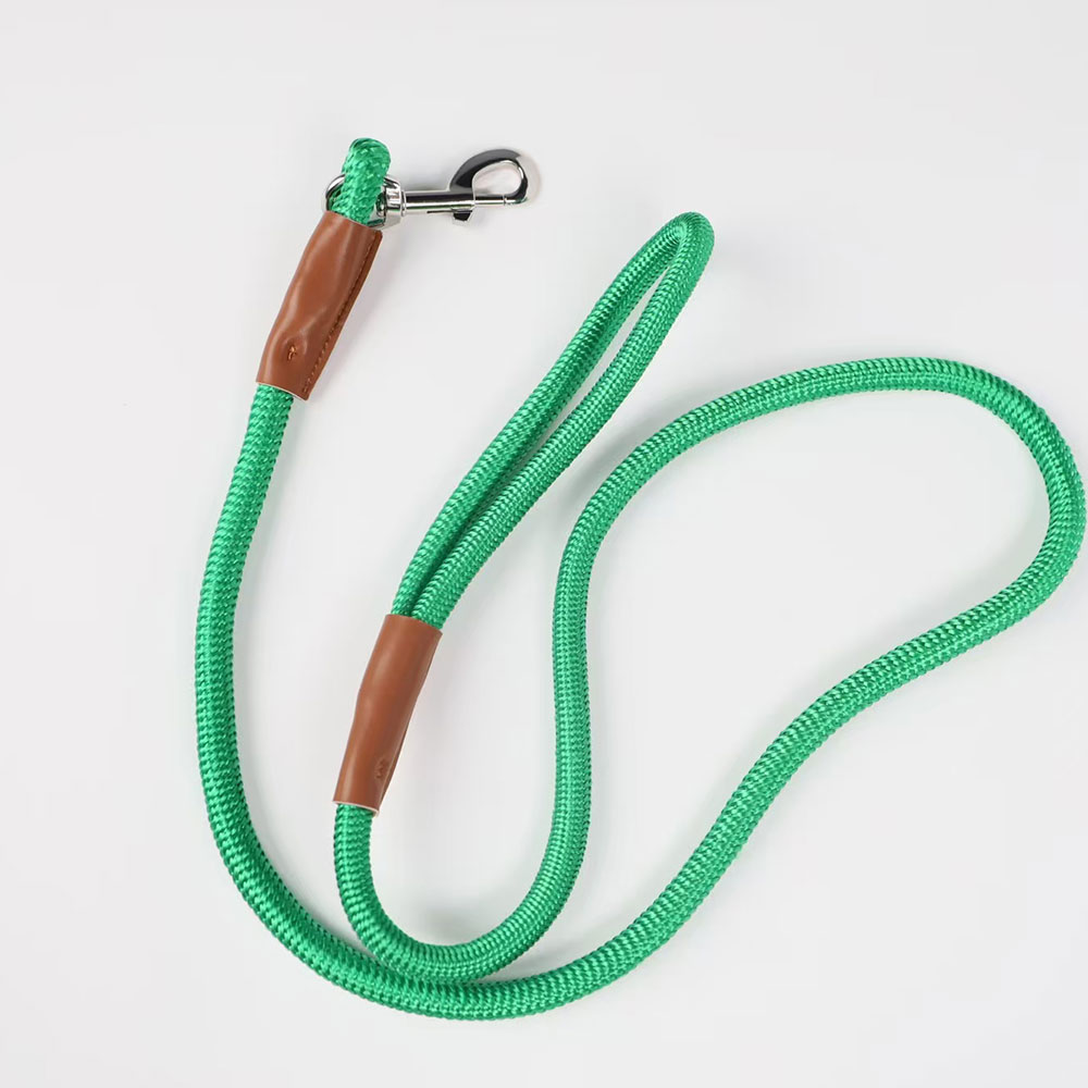 Rolled Nylon dog lead