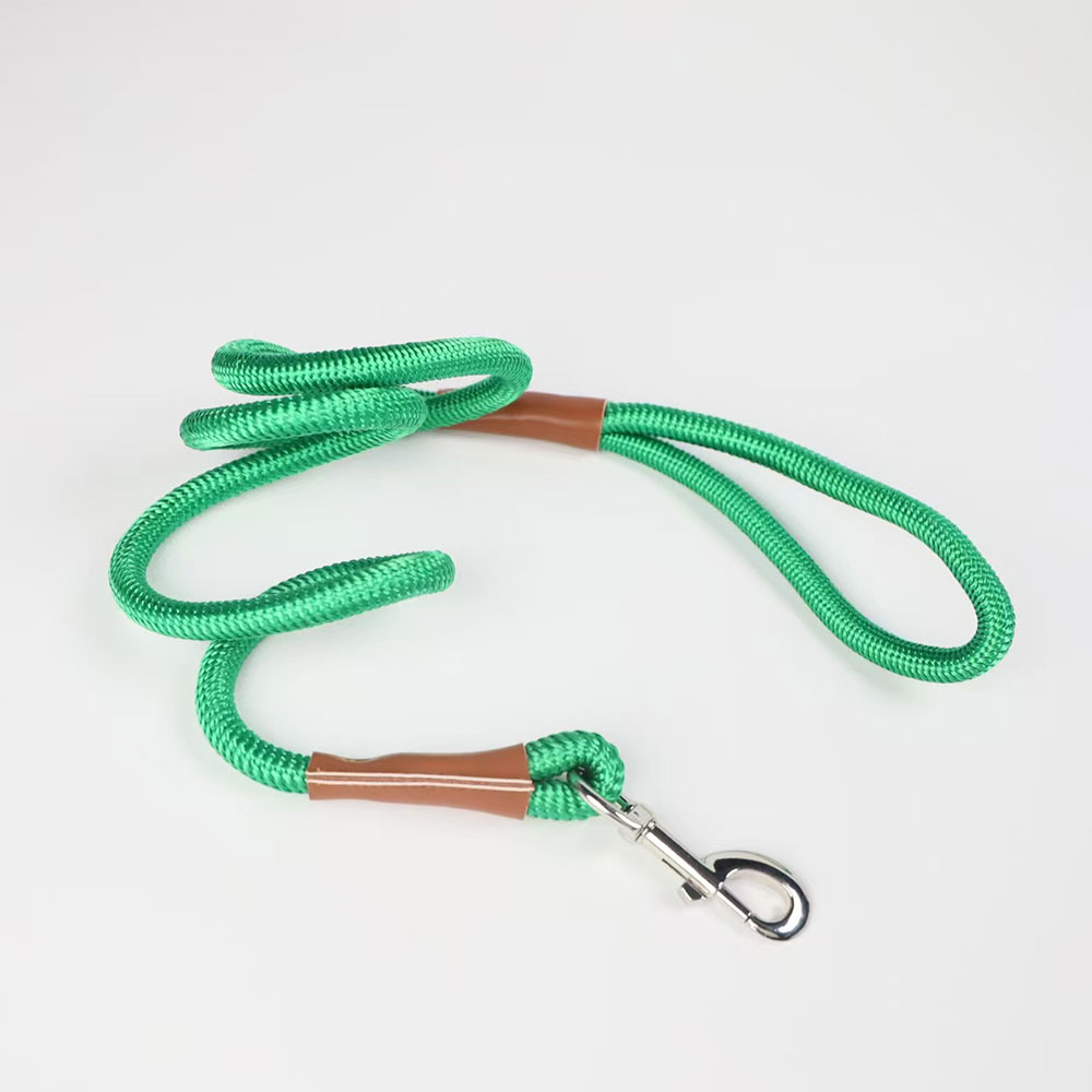 Rolled Nylon dog lead