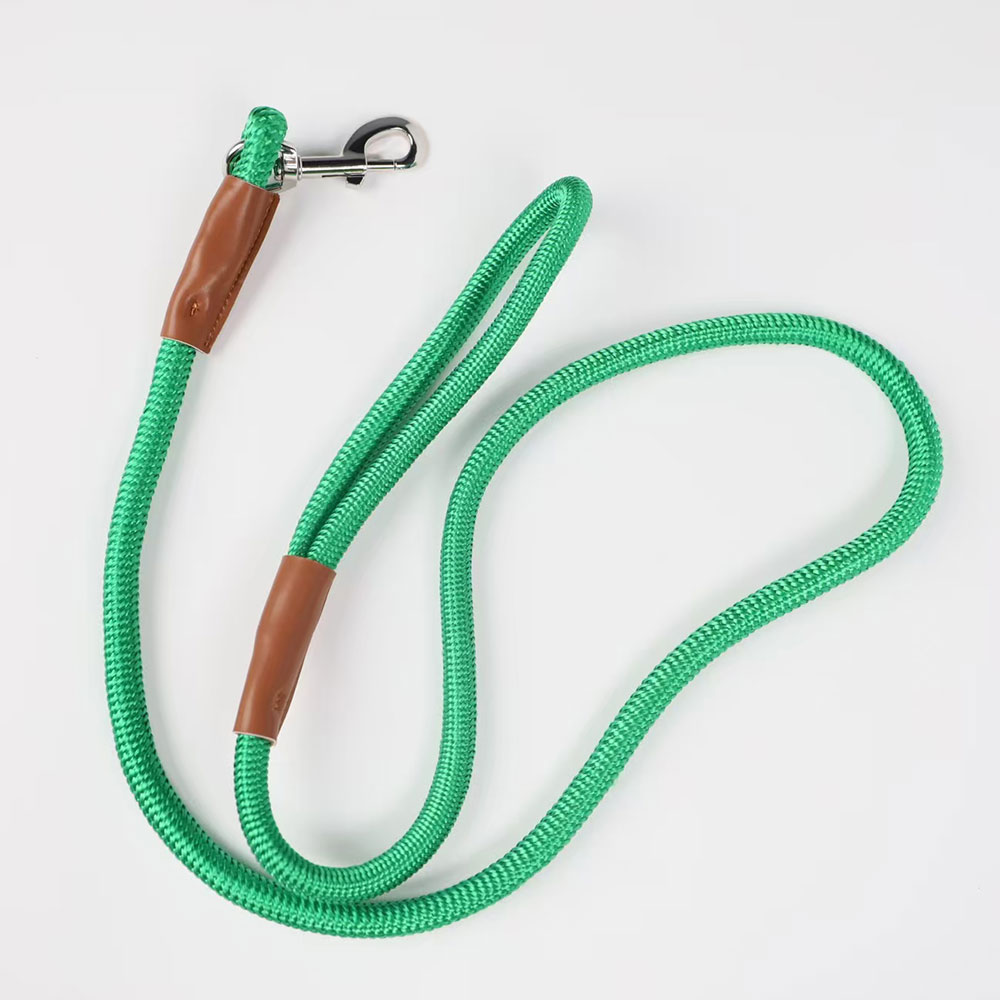 Rolled Nylon dog lead