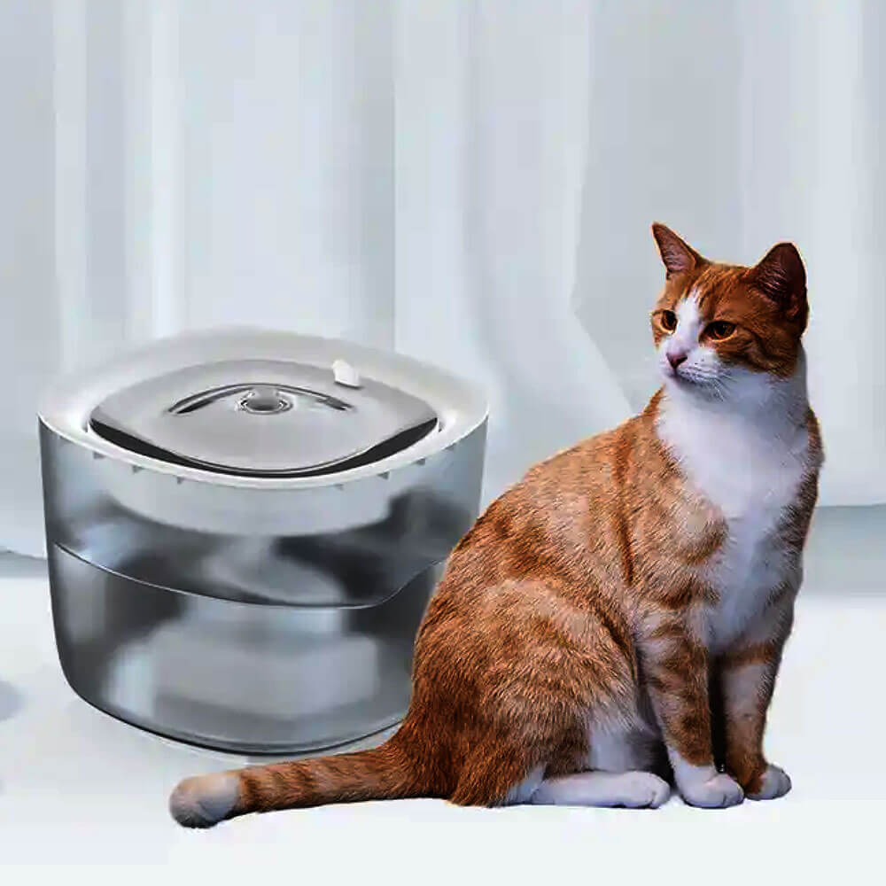 Automatic Pet Water Fountain