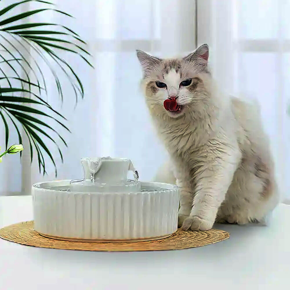 Ceramic pet water fountain