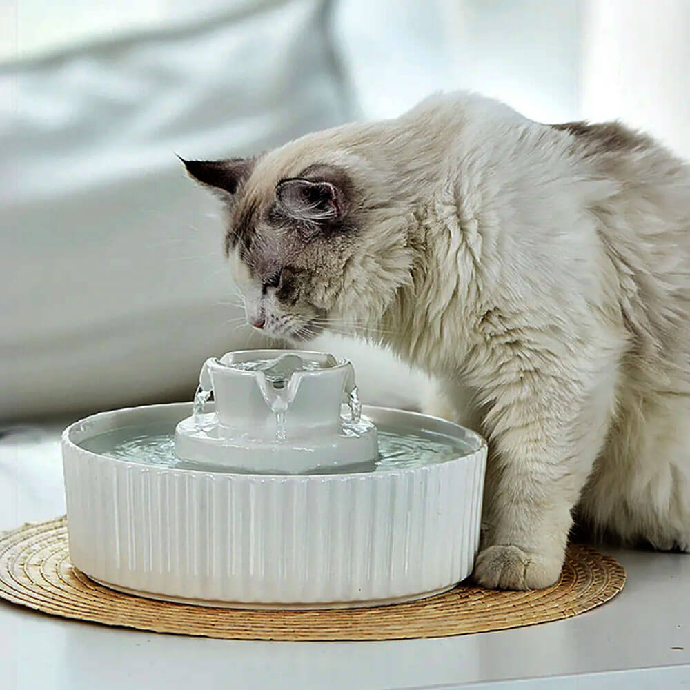 Ceramic pet water fountain