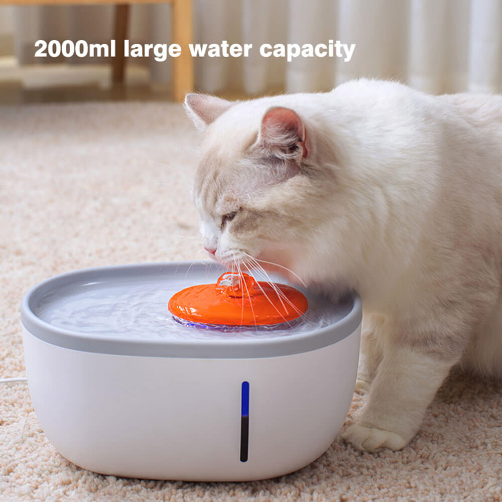 Automatic Pet Water Fountain