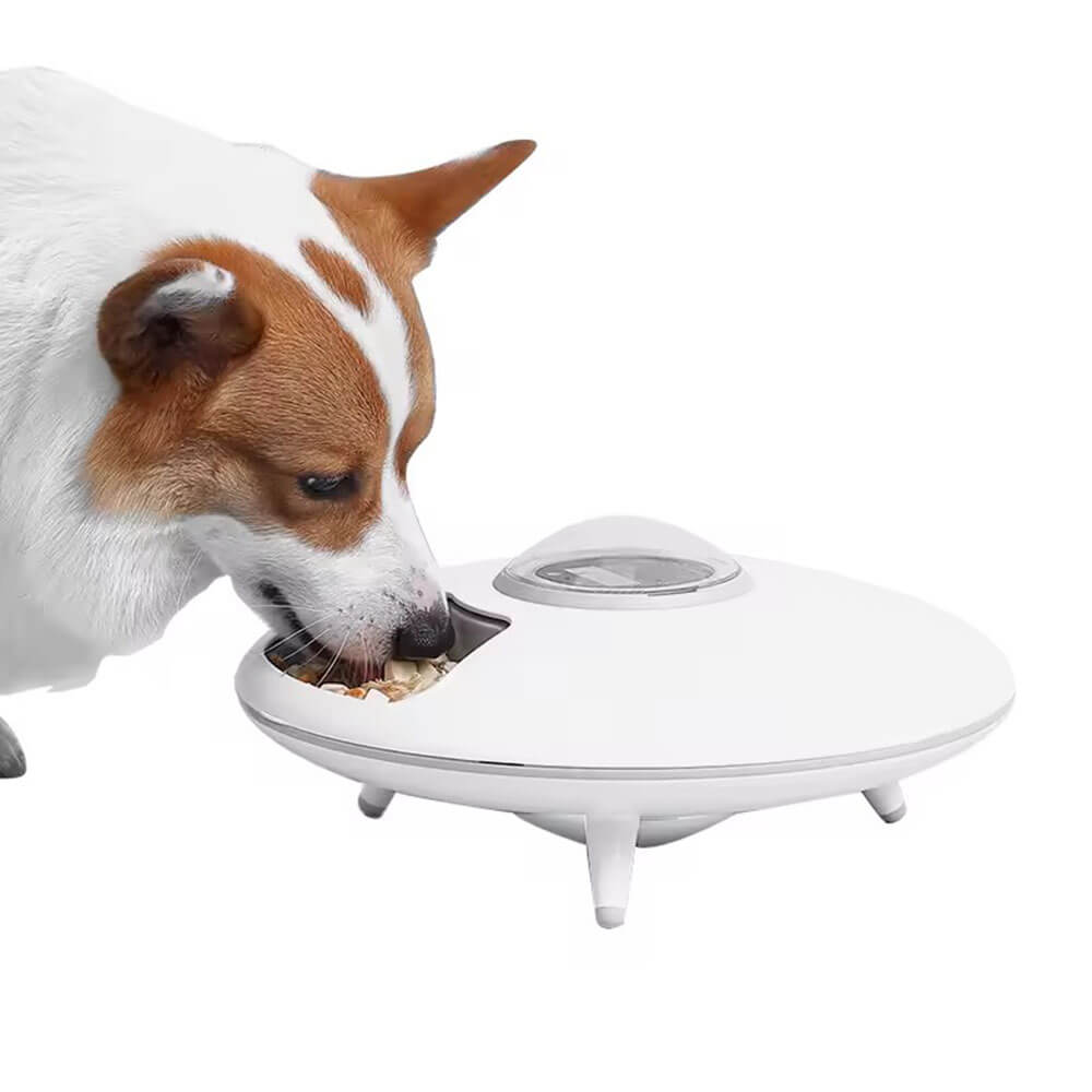 Automatic Pet snack feeder