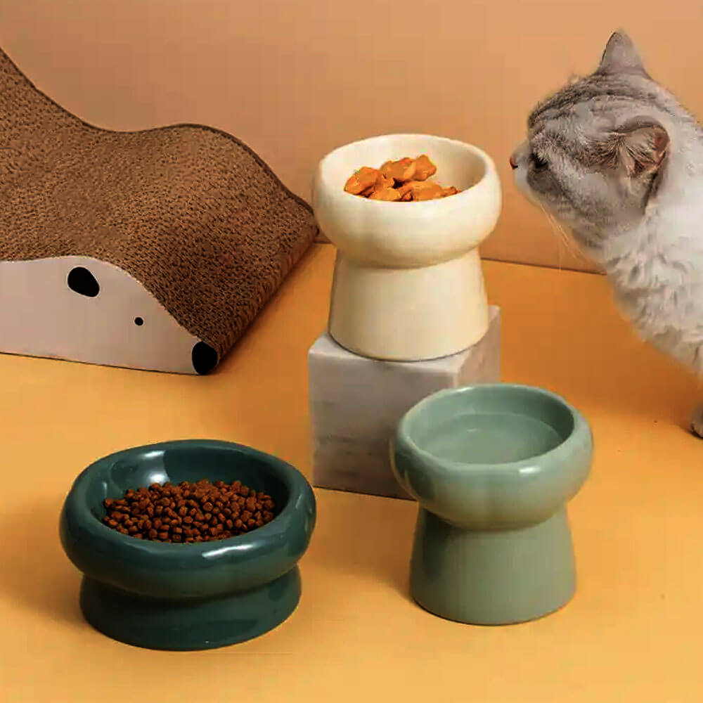 Pet ceramic bowl