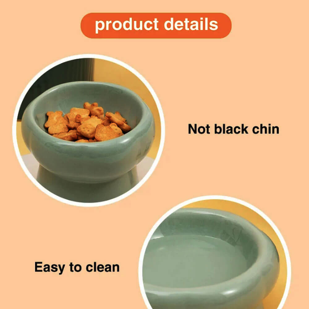 Pet ceramic bowl