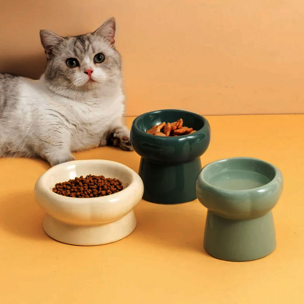 Pet ceramic bowl