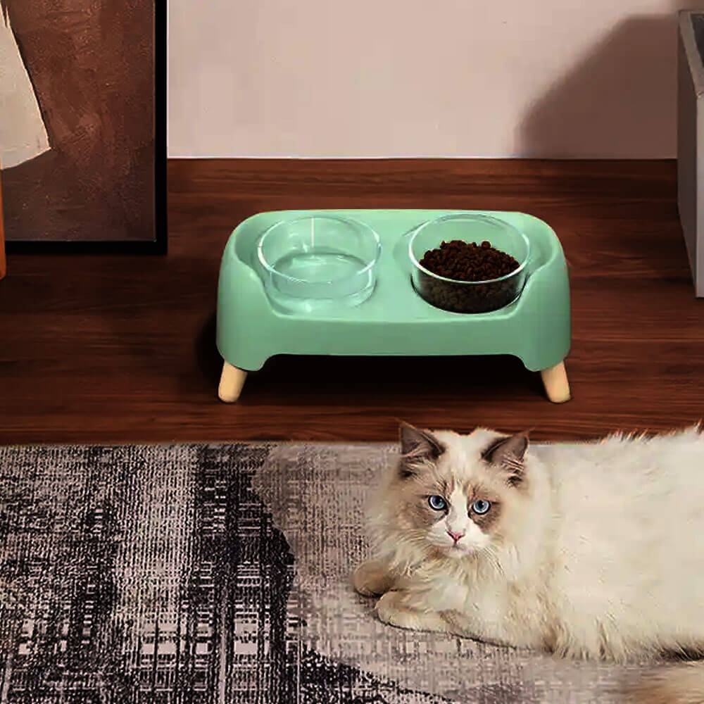 Double pet food bowls